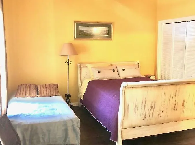 3 Bedroom Spacious In Ideal Location W Free Parking Back Yard Pets Welcome Holiday home