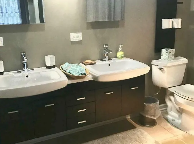 3 Bedroom Spacious In Ideal Location W Free Parking Back Yard Pets Welcome Chicago
