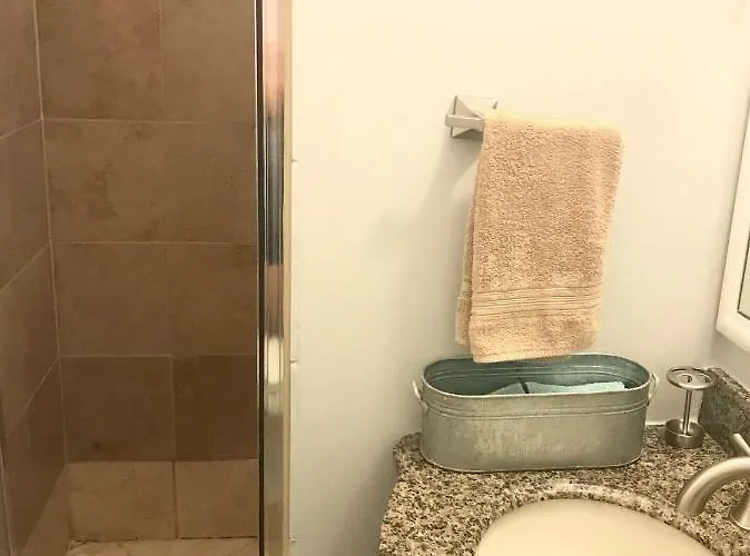 3 Bedroom Spacious In Ideal Location W Free Parking Back Yard Pets Welcome *